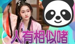 吃瓜爆料12,吃瓜爆料12，明星幕后故事大公开