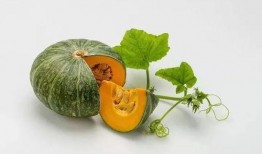 赖瓜怎么吃南瓜,创意烹饪，美味升级