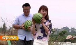 宜昌主播吃瓜,趣味横生直播秀引网友热议