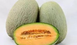 吃瓜看瓜就说瓜,吃瓜看瓜，深度解析“瓜界”风云