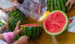 吃瓜喜庆的视频,视频带你领略节日氛围