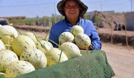 甘肃媳妇挑水吃瓜视频,见证农村生活的真实写照