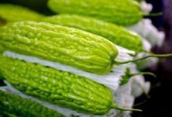 苏瓜孕妇可以吃,苏瓜孕妇的饮食选择与建议