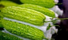 苏瓜孕妇可以吃,苏瓜孕妇的饮食选择与建议