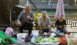 乌镇吃瓜事件视频,一场网络狂欢背后的真相揭秘