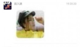 连岱 吃瓜群众,吃瓜群众的视角解读