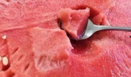 半寒猪头吃瓜,揭秘猪头与瓜的奇妙邂逅