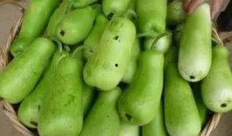 吃别人瓜图片,共享他人瓜果的温馨瞬间