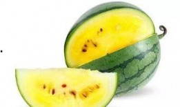 吃瓜一般吃的什么瓜,揭秘吃瓜群众的瓜食秘籍