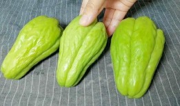 佛手瓜产妇可以吃,产妇滋补佳品，助力产后恢复