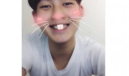 呆瓜吃,一场关于美食与生活的趣味之旅