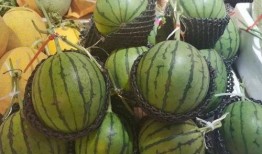 海南琼海吃瓜事件视频,一场网络热议的真相揭秘