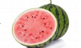 麒麟瓜小孩吃,探寻童年记忆中的甜蜜滋味