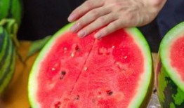 绍兴越秀学校吃瓜