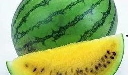 吃瓜别忘卖瓜人,人生哲理与智慧