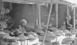 流浪之路吃瓜吧,揭秘吃瓜群众的狂欢盛宴