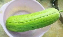 直播间吃的水瓜,清新口感，健康生活新体验