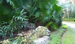 天利仁和吃瓜,吃瓜群众的欢乐盛宴