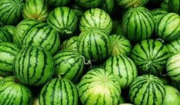 最新吃瓜群资源,明星幕后故事大曝光！