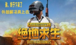 吃鸡瓜会抖吗,揭秘瓜类美食的独特魅力