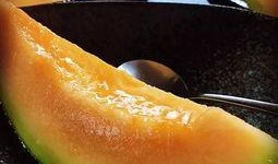 韩吃瓜红军,揭秘娱乐圈与革命精神的奇妙碰撞