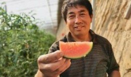 郑团团吃瓜,揭秘娱乐圈幕后故事