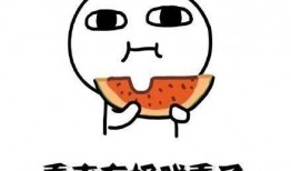 吃瓜抄作业,网络热词背后的文化现象