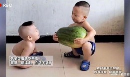 吃哥哥的瓜,吃哥哥的瓜，探寻明星背后的故事