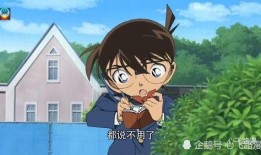 小兰和柯南吃瓜,小兰柯南瓜田奇遇记