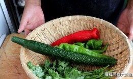 每日吃瓜必吃大瓜老虎菜,揭秘老虎菜的魅力与奥秘