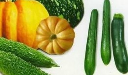 不干净的吃瓜,揭秘隐藏在“美味”背后的健康隐患