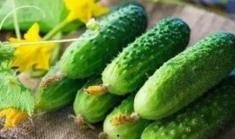 吃整个瓜,揭秘吃瓜群众的快乐源泉