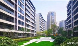 杭州楼市扫码吃瓜,一扫码，瓜分房价优惠的秘密