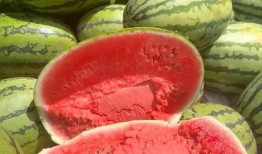 小红书吃瓜头像,揭秘小红书热门吃瓜头像背后的故事