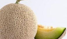 哈密瓜是什么季节开始吃,哈密瓜季来临，尽享清凉美味