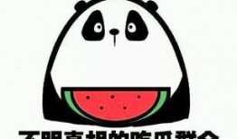 吃瓜群众笑了,揭秘娱乐圈幕后趣事