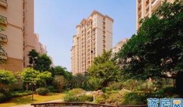 天利仁和吃瓜,吃瓜群众的欢乐盛宴