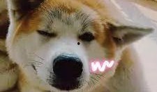 静静吃瓜故事,揭秘娱乐圈背后的故事