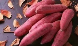 地瓜能和面瓜在一起吃吗,健康美味两不误