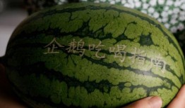 百万粉丝吃瓜,揭秘娱乐圈最新吃瓜大事件！