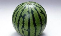 减肥可以吃次瓜吗