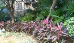 天利仁和吃瓜,吃瓜群众的欢乐盛宴