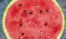 吃瓜神器视频大全,视频大全带你领略美食世界