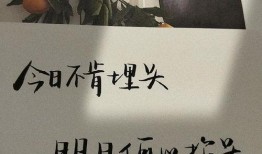 吃瓜吃净文案句子,揭秘娱乐圈幕后真相