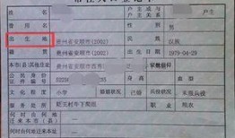 带你吃瓜改户籍,一场户籍改革的趣味之旅