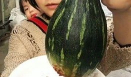 吃整个瓜,揭秘吃瓜群众的快乐源泉