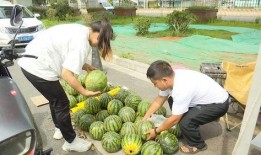 15种吃瓜的方法,解锁夏日清凉新境界