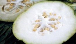 烂冬瓜吃瓜大队,揭秘网络热点的幕后故事