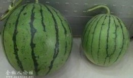 吃瓜影视片,揭秘娱乐圈幕后故事