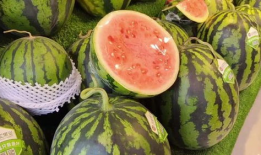 吃瓜变瓜人,人生百态的寓言之旅